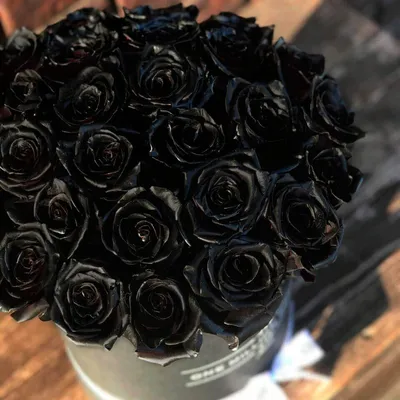 49 черных роз в корзине - купить с доставкой в Москве, Azalia Now