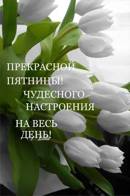 Доброе утро . Всем прекрасной пятницы 🌸 Для заказа красивого букета 👇👇👇  📲WhatsApp 89872188888 🏠профсоюзная 1 🚗доставка по городу бесплатно |  Instagram