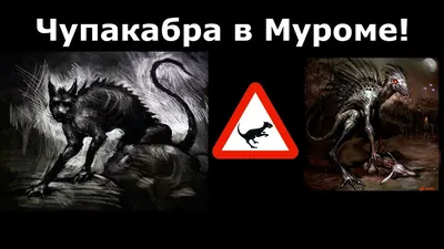 Таинственный зверь вновь нападает на домашних животных в Пензенской области  | Ваша Планета | Дзен