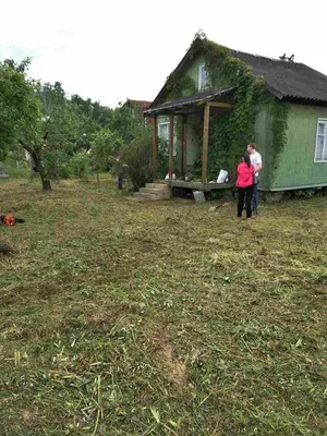 Особенности благоустройства дачных участков. Примеры работ