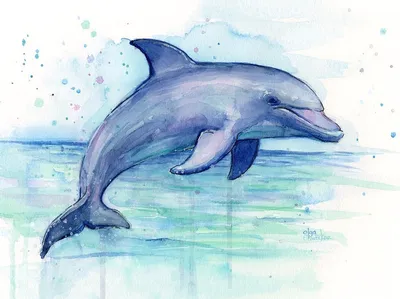 Дельфин для срисовки - 58 фото