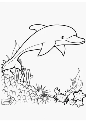 Раскраска животных дельфин. раскраски животных раскраска дельфин. Раскраски  в формате А4.