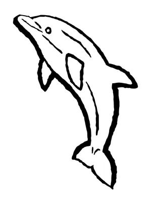 Рисунок маленького дельфинчика (19 фото) » Рисунки для срисовки и не только