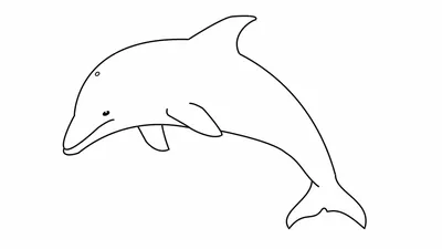 Дельфин рисунок для детей карандашом - 54 фото