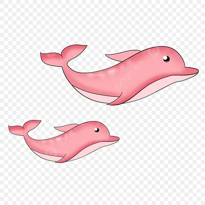 Лёгкие рисунки для срисовки дельфин (18 шт)