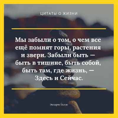 УМНЫЕ МЫСЛИ / Цитаты - Жизнь и время — два учителя. Жизнь учит нас  правильно распоряжаться временем, время учит нас ценить жизнь. Эльчин  Сафарли #умныемысли #цитаты #цытатывеликихлюдей #ум #гениально #блогер  #блог #лайкивзаимно #