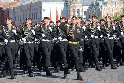 27 ноября День Морской пехоты - Магазин тельняшек.ру