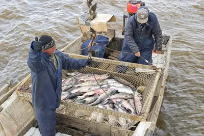 Всемирный день рыболовства | Нікополь Онлайн