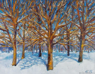 Деревья зимой - 72 фото