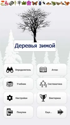 Голые деревья зимой Фон И картинка для бесплатной загрузки - Pngtree