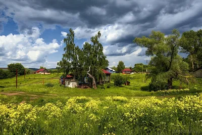 Репортаж из деревни Урман в Красноярском крае. Как живет деревня в эпоху  коронавируса - 8 июня 2020 - НГС24