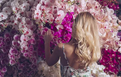Блондинка женщина позирует на безлистном дереве с розовыми цветами ·  Бесплатные стоковые фото