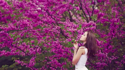 Девушка-весна...🌸🌸🌸... - Мехенди в Кишиневе by Anna Frolova | Facebook