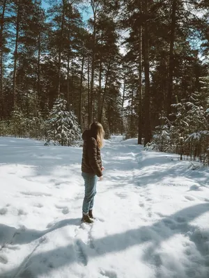 Восхитительная Девушка-Зима …» — создано в Шедевруме