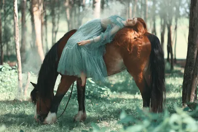 Фотоманипуляция «Девушка на коне» - Dexality -