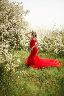 Фотообои Девушка в красном платье. Каталог: Люди. Заказать картинку №2629  на ABC-Decor