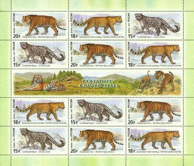 Россия 2014 № 1888-1890 (ЛУФ). Фауна России. Дикие кошки