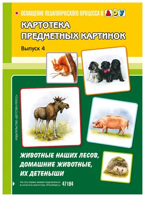 Издательство \"Детство-Пресс\" | Карманные книжки. Загадки-обманки для  дошколят. 3-7 лет. Животные жарких стран. Домашние животные u птицы. Дикие  животные наших лесов.