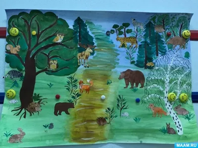 Дикие животные наших лесов | МБДОУ детский сад №11