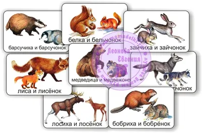 Кто, чем и зачем кормит лесных обитателей в студеную пору