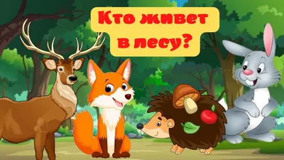 Что делать, если встретил в лесу дикое животное? - «Экология России»