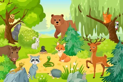 Дикие и лесные животные для детей. Учим звуки животных - YouTube