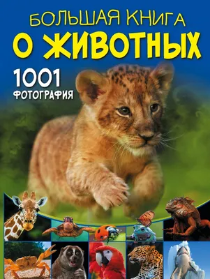 Коллаж с множеством разных диких животных :: Стоковая фотография ::  Pixel-Shot Studio