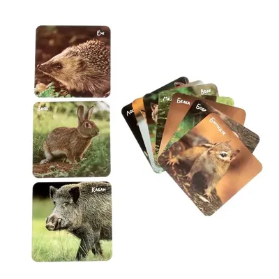 Пазл EDUCA Коллаж из диких животных 500 деталей купить по цене 999 ₽ в  интернет-магазине Детский мир