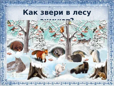 Дикие животные зимой картинки для детей - 69 фото