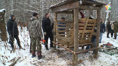 Помощь диким птицам и животным зимой. Алтайский краевой детский  экологический центр. АКДЭЦ v.2