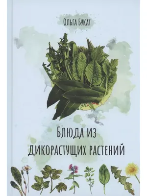 Ежегодный выбор дикорастущих растений «Горящие» - большая упаковка - 125 г  - – Garden Seeds Market | Бесплатная доставка