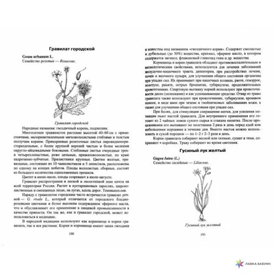 Экстракты двух дикорастущих растений эффективны против вируса COVID-19