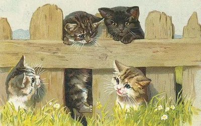 девочка с котенком для декупажа Винтажные картинки для декупажа: коты-котята  #yandeximages | Кошки и котята, Кошачий рисунок, Милые котики