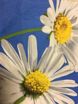 Купить цветы для декорирования \"Ромашки в связке\" цветок d-2 см голубые 7  см, цены на Мегамаркет | Артикул: 100046011405