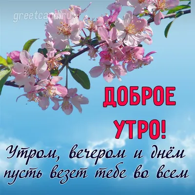 Утра - доброго, утра - нежного! Дня красивого и безмятежного! | Fun diy  crafts, Apple wallpaper, Fun diys