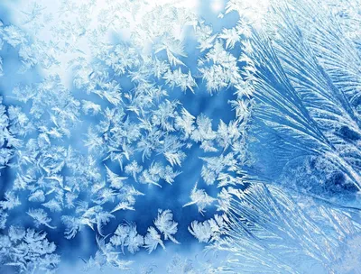 Путь через снежный пейзаж зимней природы. Красивая Snowcovered фон зимы  дерева Стоковое Фото - изображение насчитывающей замораживание, ландшафт:  209757632