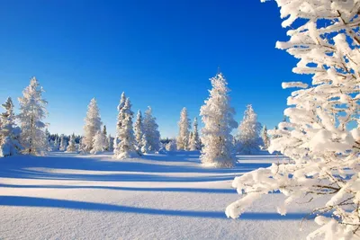 Зимний снежный блеск стиль фона Обои Изображение для бесплатной загрузки -  Pngtree