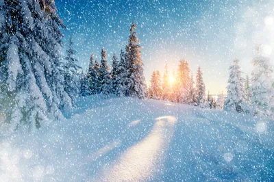 снеговик , зима, снег, пейзаж , рождество , природа , фон , строительство ,  белый , сезон , на открытом воздухе , рождество, холодный , замороженные  Stock-Foto | Adobe Stock