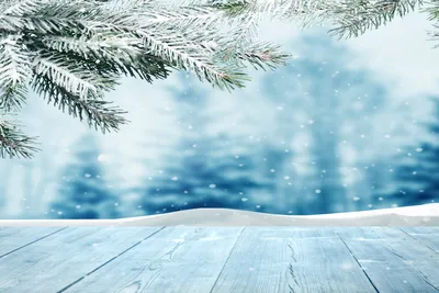 Природа Зима фон с ветвями снегопада Стоковое Изображение - изображение  насчитывающей заморозок, сосенка: 159918829