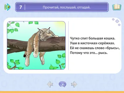 Набор карточек для изучения русского языка, 120 карточек со словами.  Карточки на русском языке для обучения буквам, счету, предметам… | Instagram