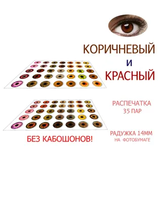 Набор для изготовления глазок для игрушек, кукол на фотобумаге, 14 мм, для  стеклянных кабошонов, 35 пар - купить с доставкой по выгодным ценам в  интернет-магазине OZON (521726618)