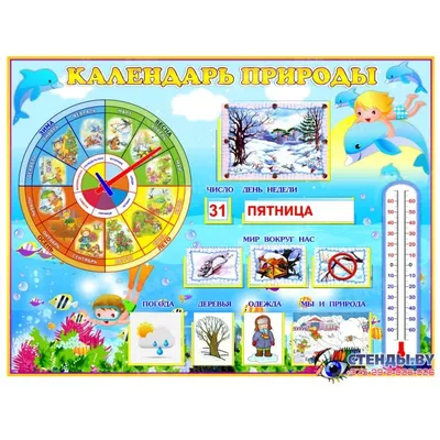 Календарь Природы (7897) Нескучные игры — купить в интернет-магазине  www.SmartyToys.ru