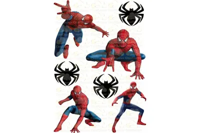 https://ozon.by/product/vafelnaya-kartinka-sedobnaya-spaydermen-spider-man-chelovek-pauk-dlya-malchika-dlya-torta-i-1291955782/