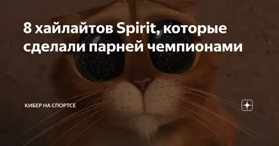 Контент-стратегия продвижения бизнеса в Instagram 2019