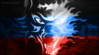 PSD логотип и аватар для группы вконтакте Counter-Strike WOLF » Братство  дизайнеров - You-PS.Ru- PSD исходники шаблоны для постов VK и SMM