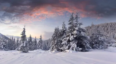 Фон рабочего стола где видно зима, лес, снег, природа, деревянные избушки,  елки в снегу, winter, forest, snow, nature, wooden huts, trees in the snow
