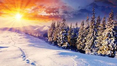 Обои Шикарная зима, картинки - Обои для рабочего стола Шикарная зима фото  из альбома: (природа)