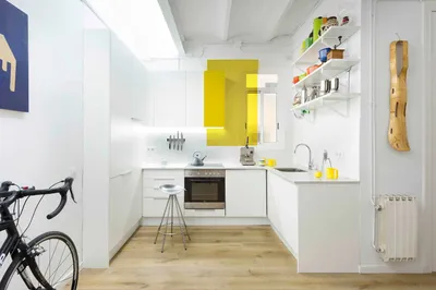 Какую краску для стен кухни лучше выбрать: как подобрать цвет и покрасить  кухню