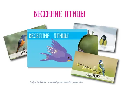 lapbook.ru | Магазин лэпбуков