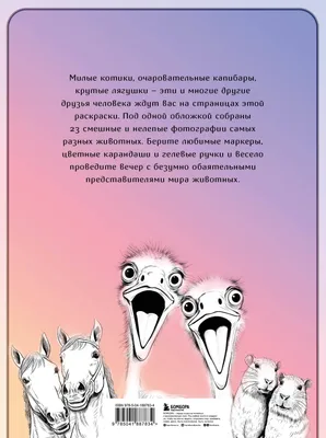 30+ открыток с Днем святого Валентина 2024: скачать бесплатно и распечатать  красивые, милые и прикольные открытки-валентинки на 14 февраля